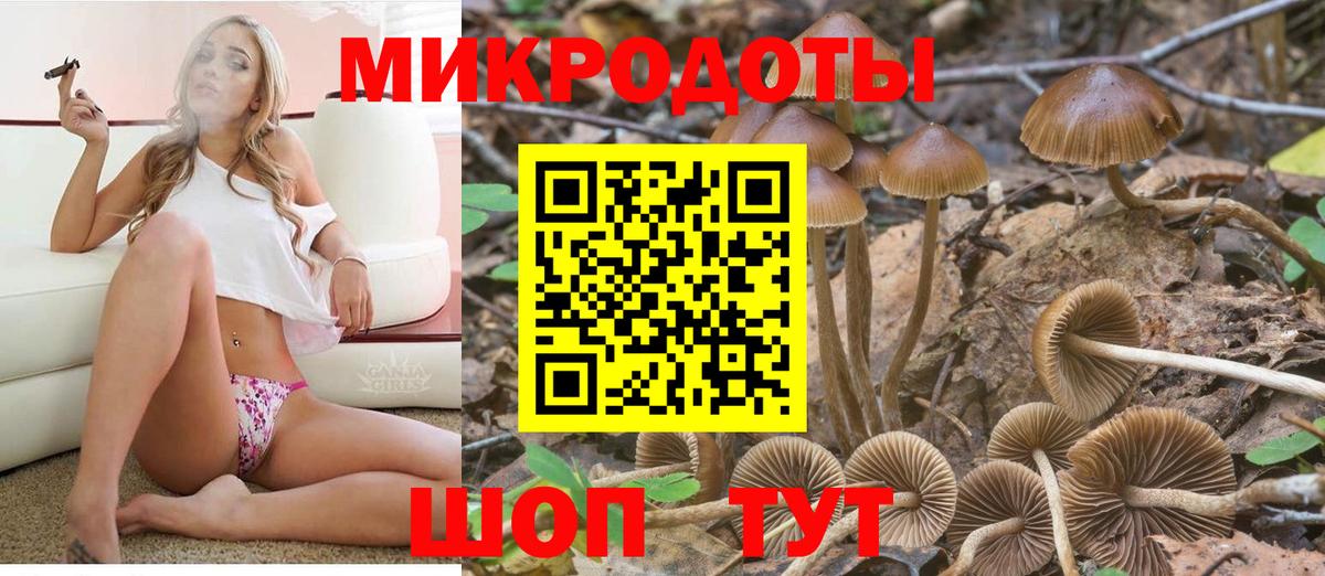 Псилоцибиновые грибы Cubensis Луховицы