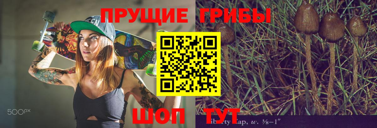 Луховицы  Галлюциногенные грибы мицелий  Вход с VPN 